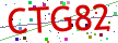 Verification code picture