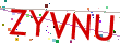 Verification code picture