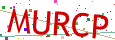 Verification code picture
