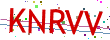 Verification code picture