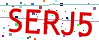Verification code picture