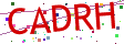 Verification code picture