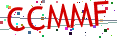 Verification code picture