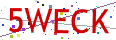 Verification code picture