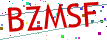 Verification code picture