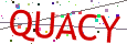 Verification code picture