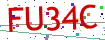 Verification code picture