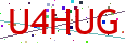 Verification code picture
