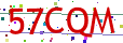 Verification code picture