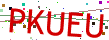 Verification code picture