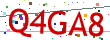 Verification code picture