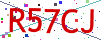 Verification code picture