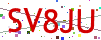 Verification code picture