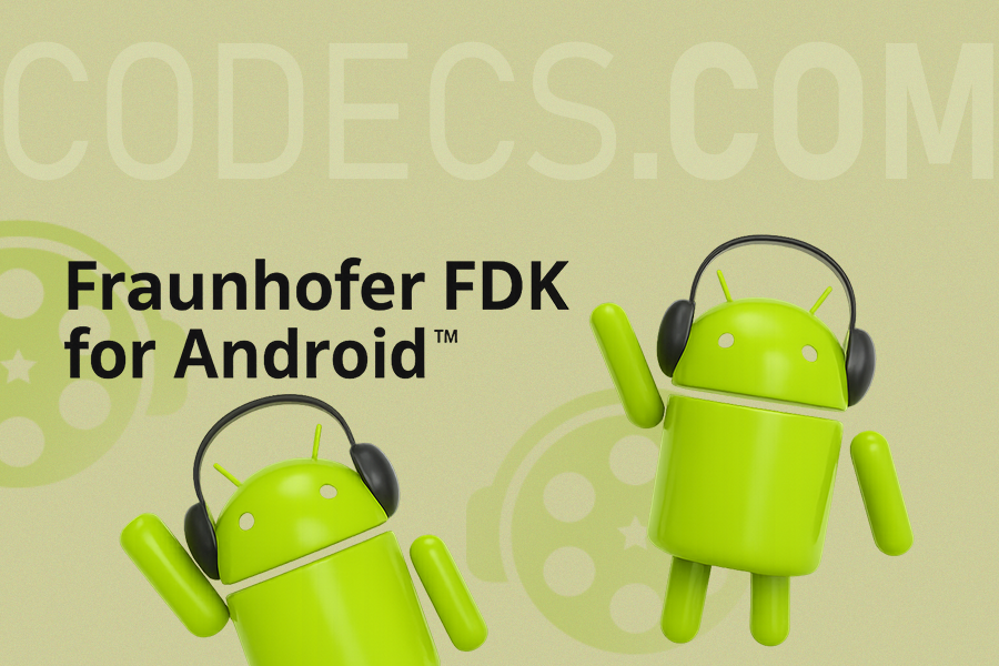 Download FDK AAC Codec screenshot