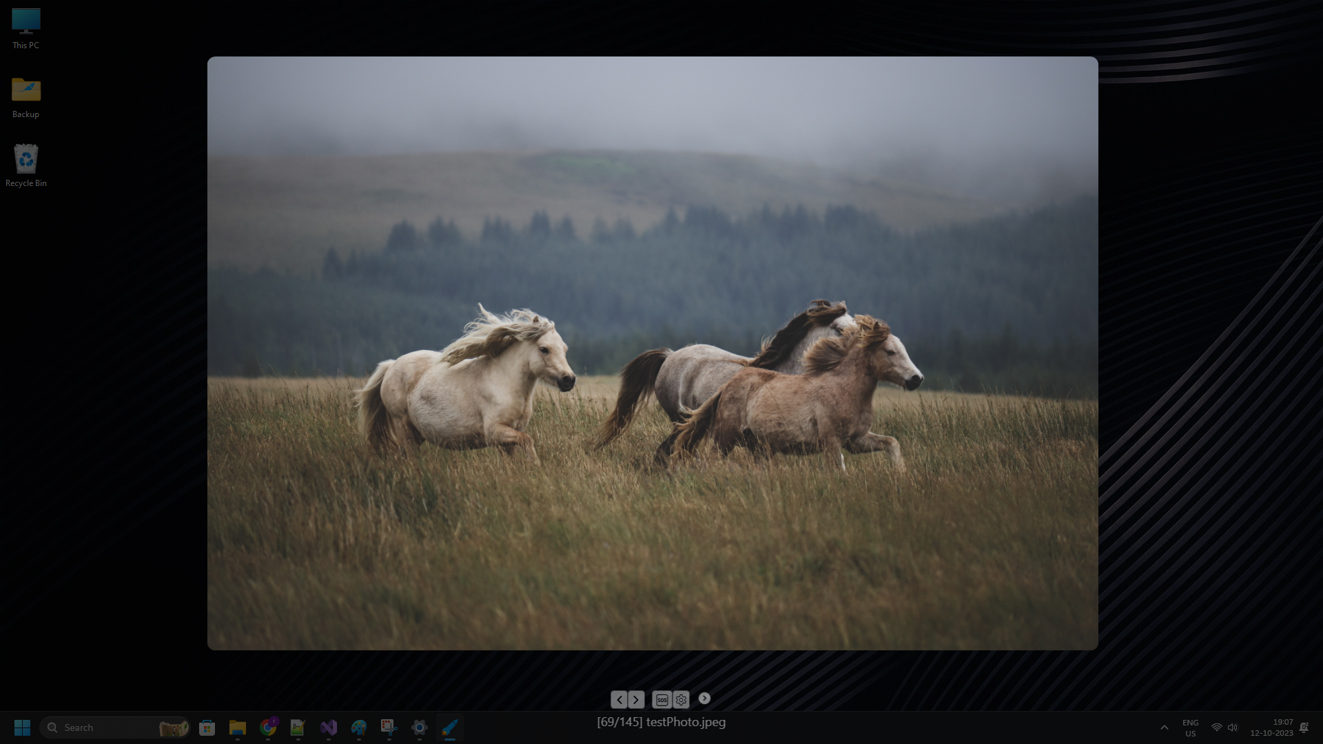 Download Fly Photos screenshot