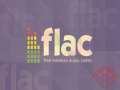 Download FLAC screenshot