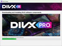 DivX 11 screenshot